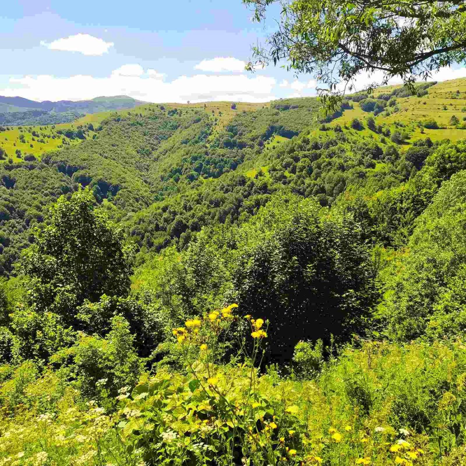 Holiday Home Vila Bjelašnica エクステリア 写真
